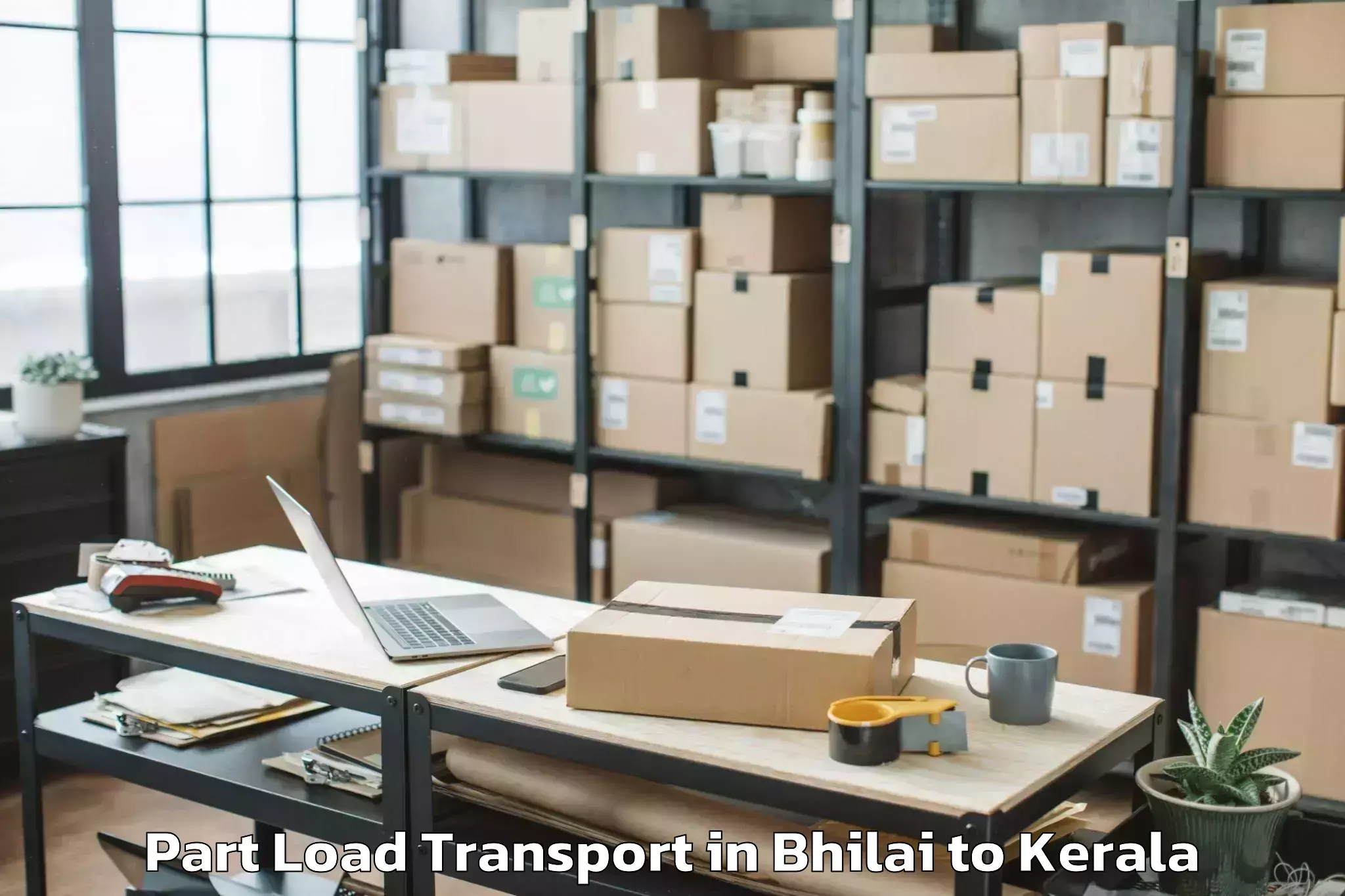 Book Bhilai to Idukki Township Part Load Transport Online